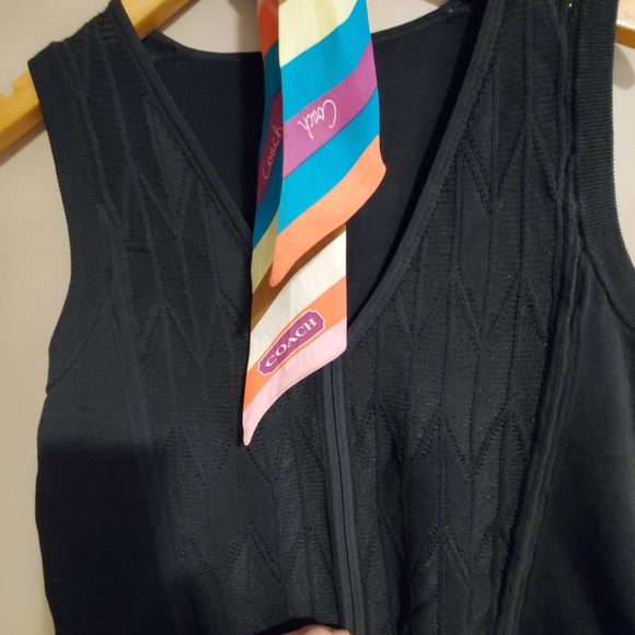 Club Monaco Sheer Sleeveless Top - Size L - Picture 3 of 5